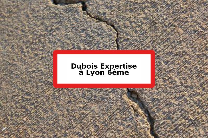 Dubois Expertise - Expert batiment - 6e Arrondissement de Lyon