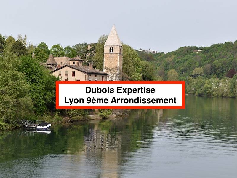 Dubois Expertise - Expert batiment - 9e Arrondissement de Lyon