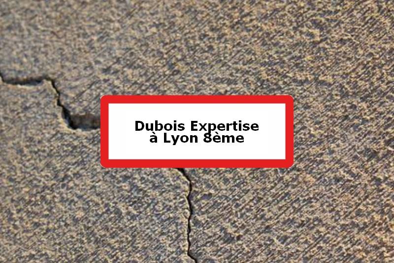 Dubois Expertise - Expert batiment - 8e Arrondissement de Lyon