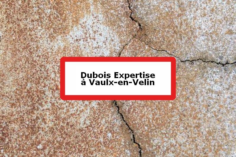 Dubois Expertise - Expert batiment - Vaulx-en-Velin