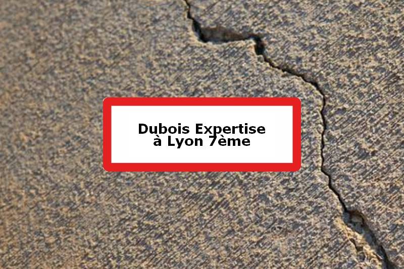 Dubois Expertise - Expert batiment - 7e Arrondissement de Lyon