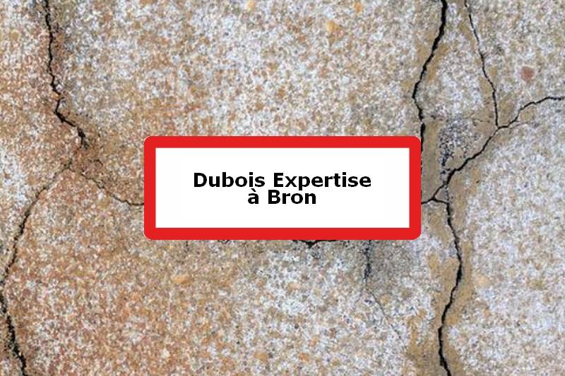 Dubois Expertise - Expert batiment - Bron
