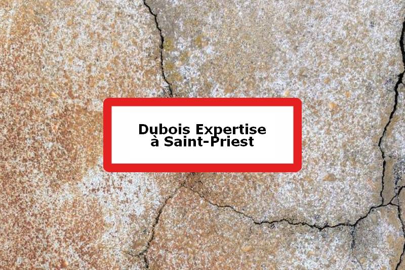 Dubois Expertise - Expert batiment - Saint-Priest