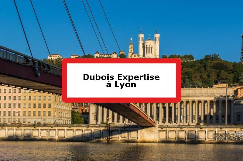 Dubois Expertise - Expert batiment - Lyon